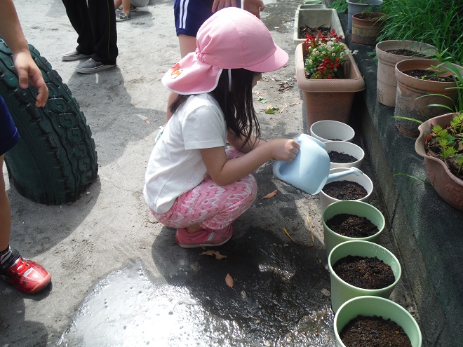 201605138273.JPG