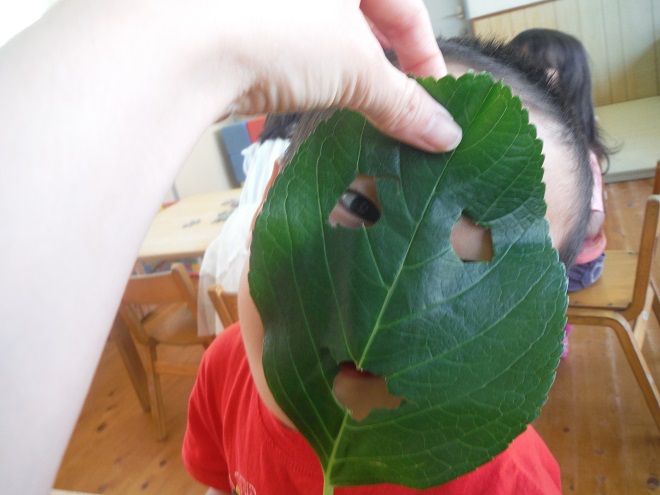 201605178313.JPG