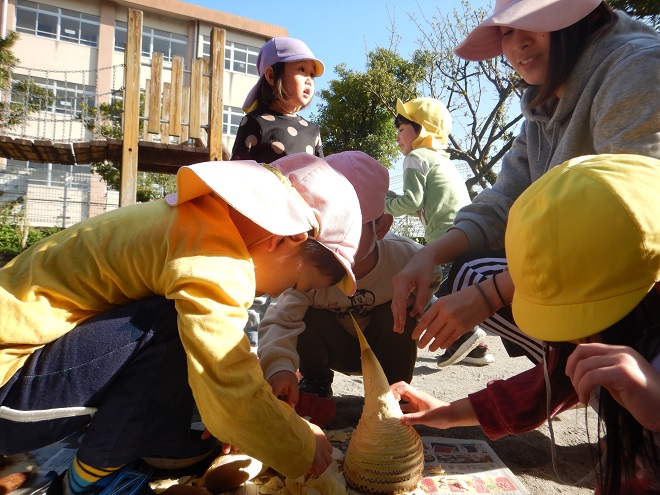 DSCN7903.JPG