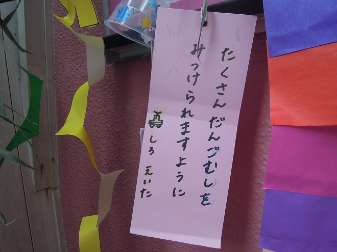 DSCN8739t.jpg