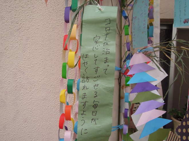 DSCN8741t.jpg
