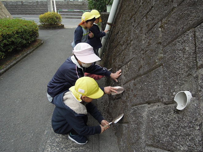 DSCN9164s.jpg