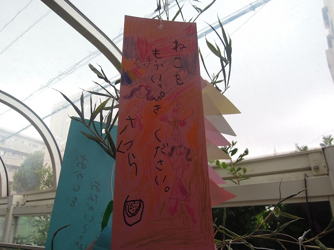 DSCN9790t.jpg