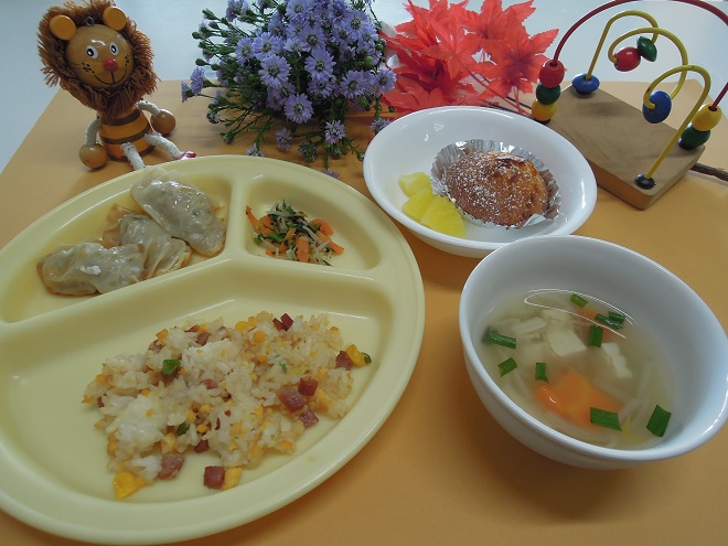 DSCN9962t.jpg